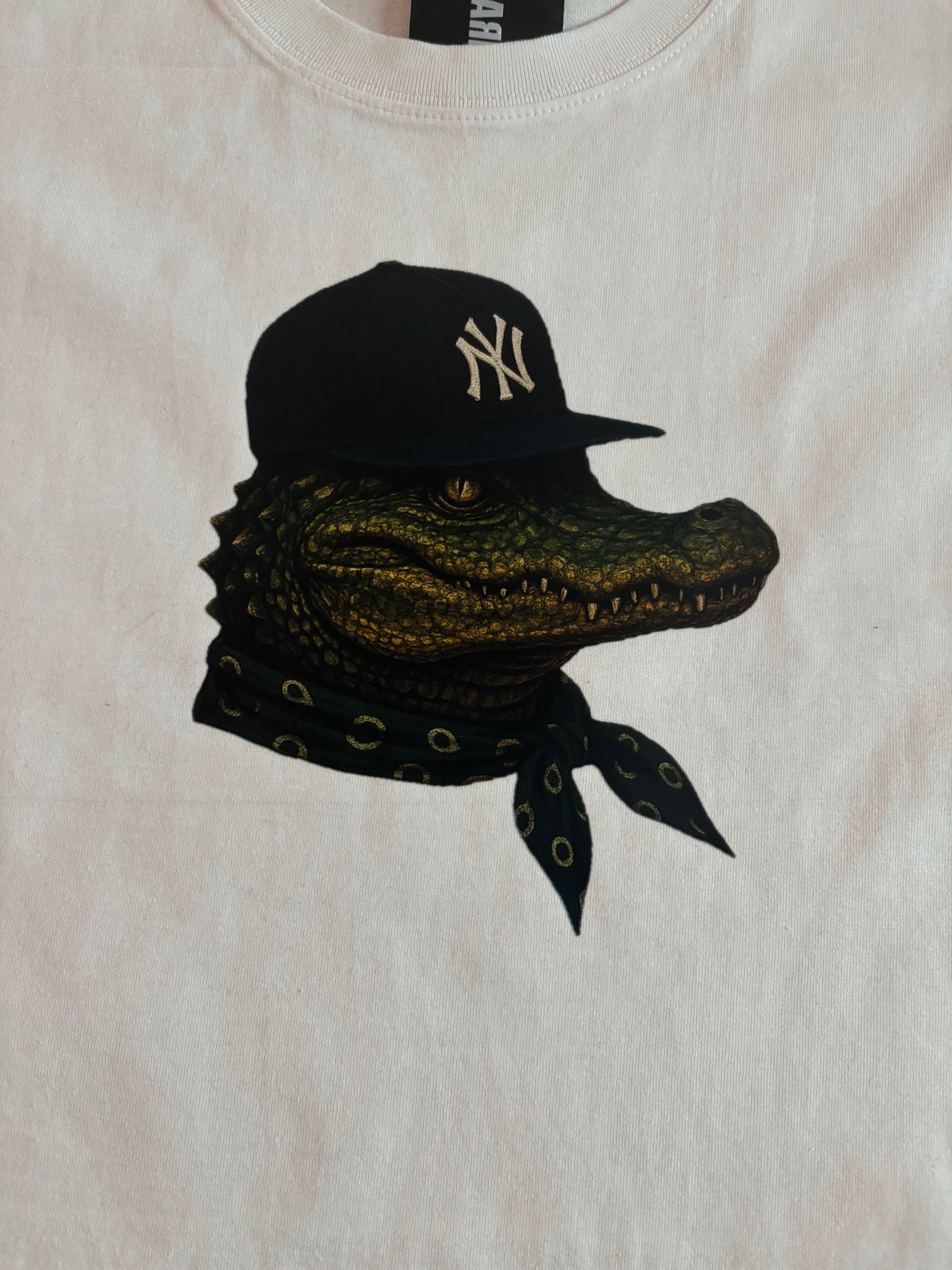 NY ALI CROC